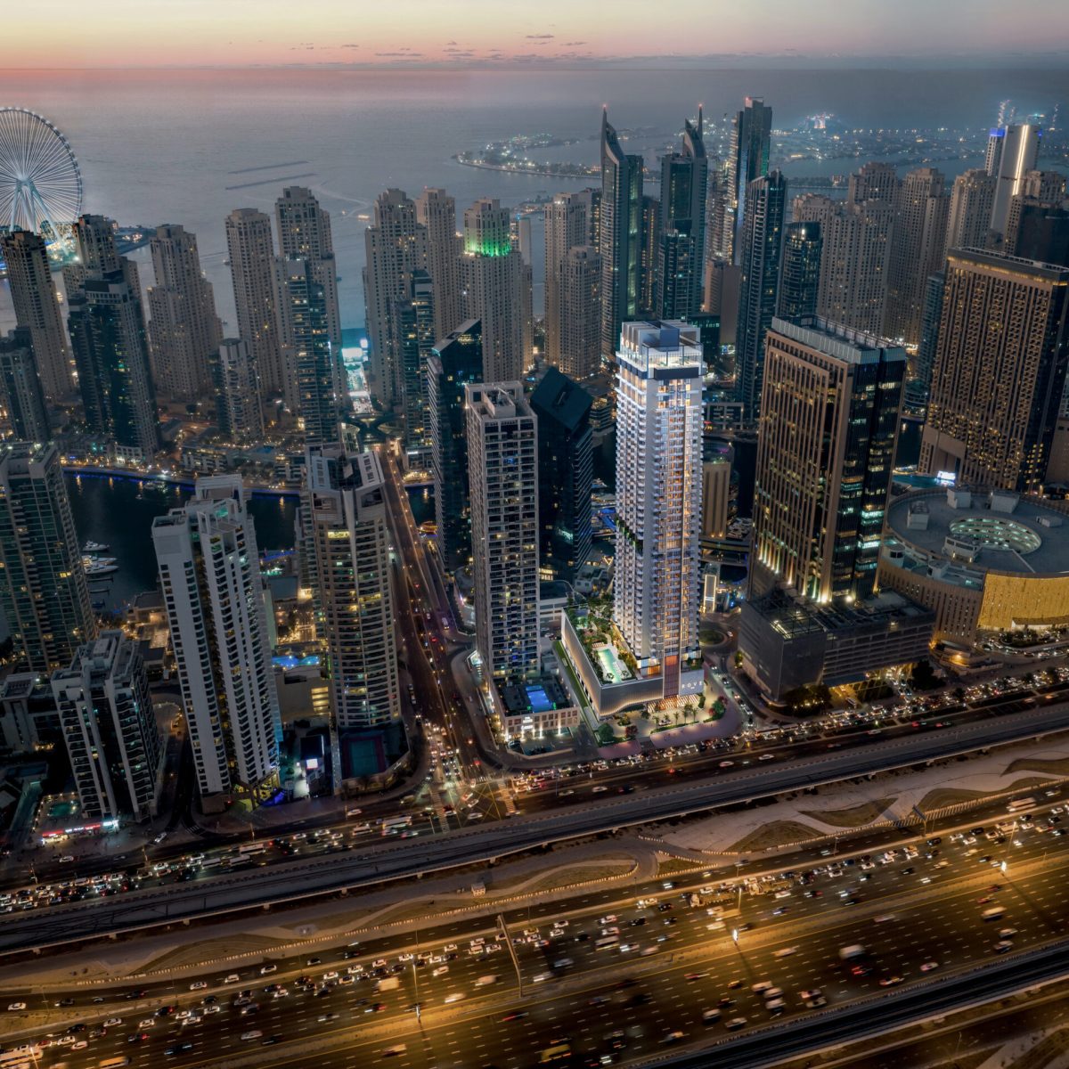 01 Birds View
